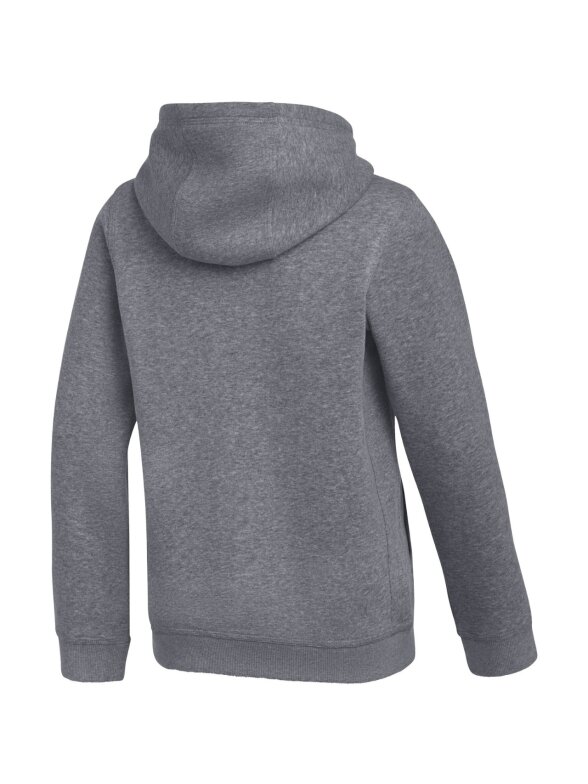 Nike Park 26 Fleece Hoodie vaikams pilka IB1226 071 1