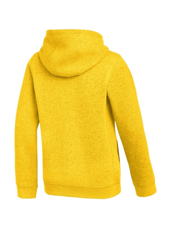 Nike Park 26 Fleece Hoodie vaikams geltona IB1226 719 1