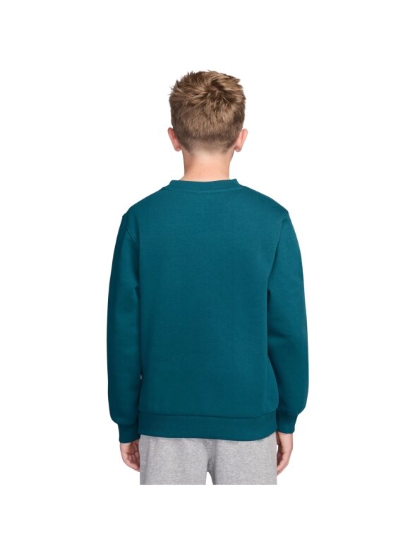 Nike Sportswear Club Fleece vaikiškas megztinis, žalias FD3006 372 1