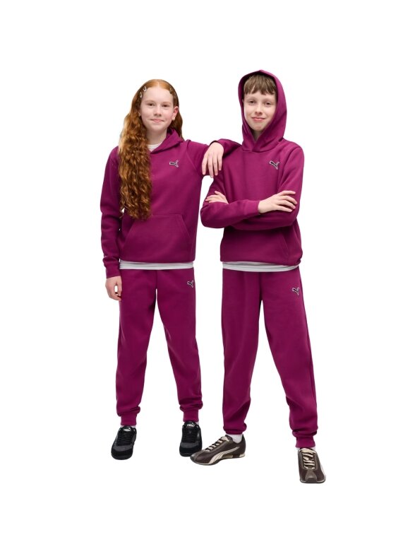 Puma vaikiškas džemperis su gobtuvu ESS Elevated Hoodie FL, fuksijų spalvos 694701 41 4 Puma vaikiškas džemperis su gobtuvu ESS Elevated Hoodie FL, fuksijų spalvos 694701 41 4