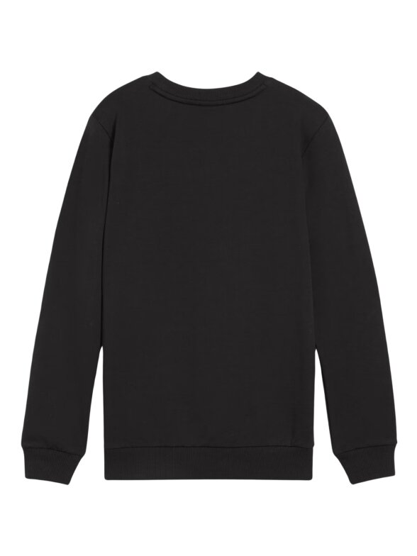 Puma Team Goal Casuals vaikų džemperis juodas 658593 03 1
