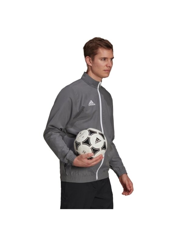 Adidas Entrada 22 Presentation Jacket vyriškas džemperis, pilkas H57535 1