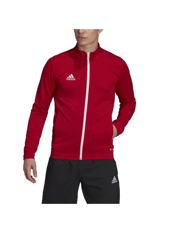Vyriški džemperiai Adidas Entrada 22 Track Jacket raudona H57537 3