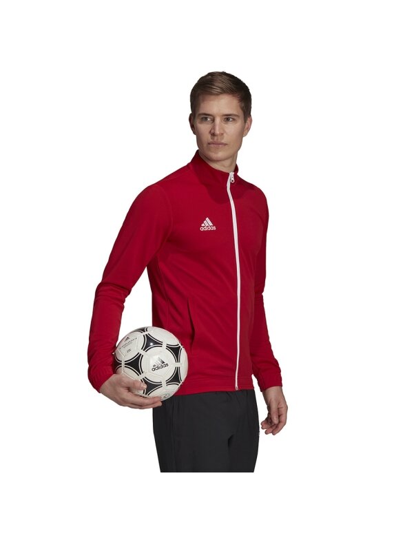 Vyriški džemperiai Adidas Entrada 22 Track Jacket raudona H57537