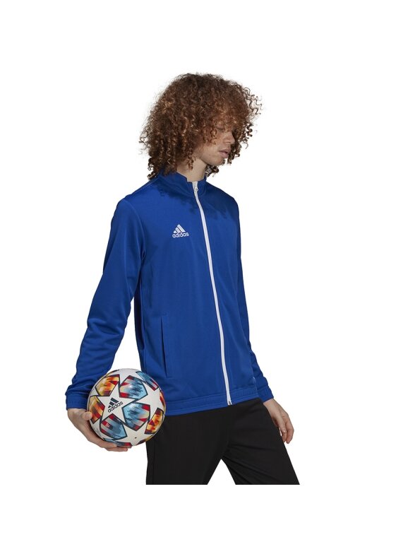 Vyriški džemperiai Adidas Entrada 22 Track Jacket mėlyna HG6287