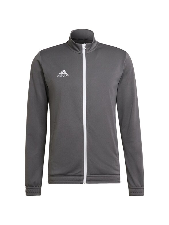 Vyriški džemperiai Adidas Entrada 22 Track Jacket pilka H57522 1