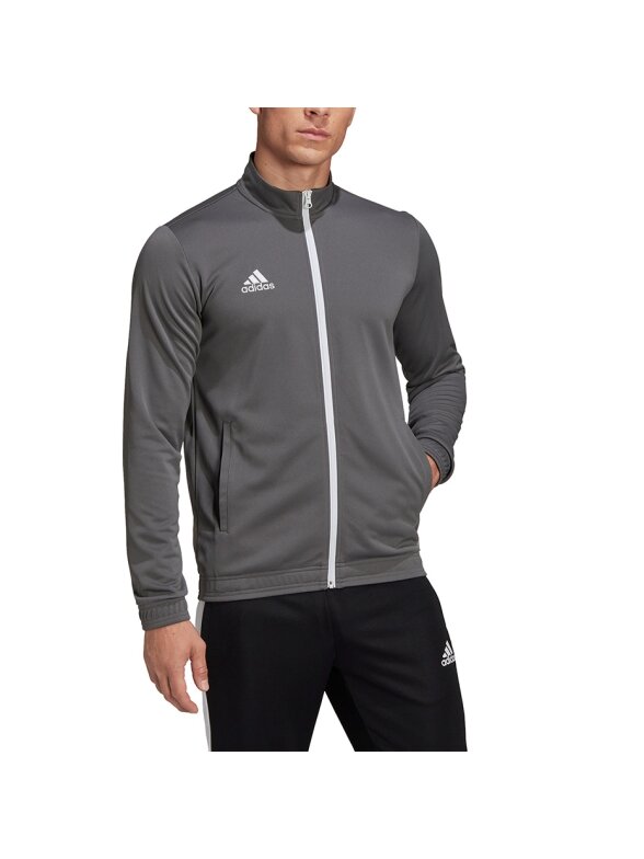 Vyriški džemperiai Adidas Entrada 22 Track Jacket pilka H57522 4