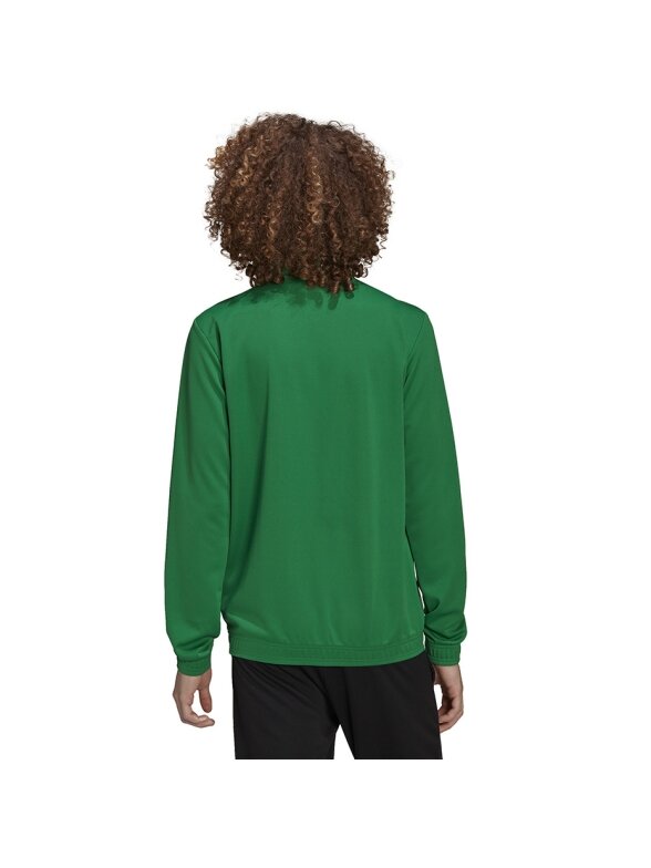 Adidas Entrada 22 Track Jacket vyriškas džemperis žalias HI2135 2 Adidas Entrada 22 Track Jacket vyriškas džemperis žalias HI2135 2