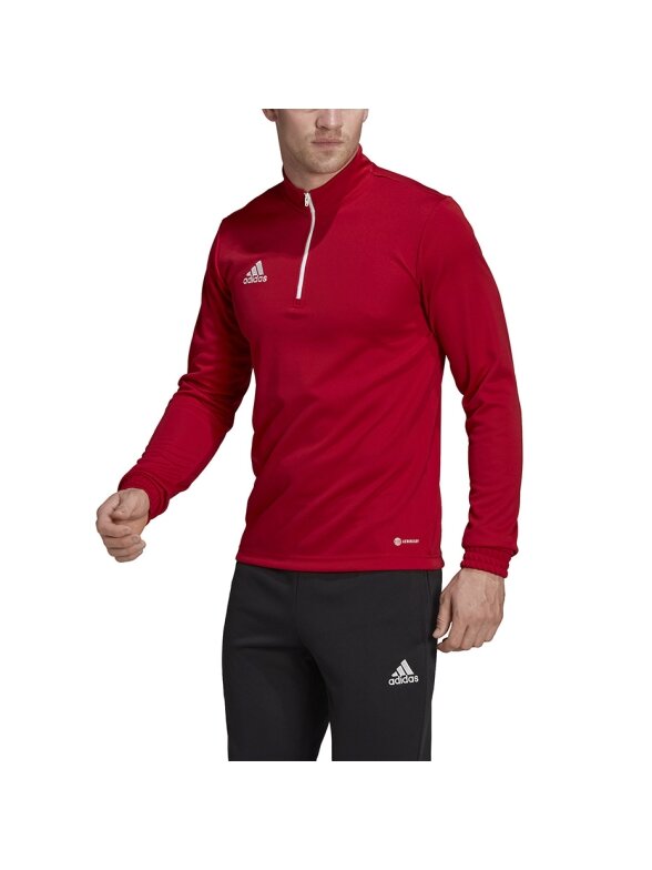 Vyriški džemperiai adidas Entrada 22 Training Top raudona H57556 3