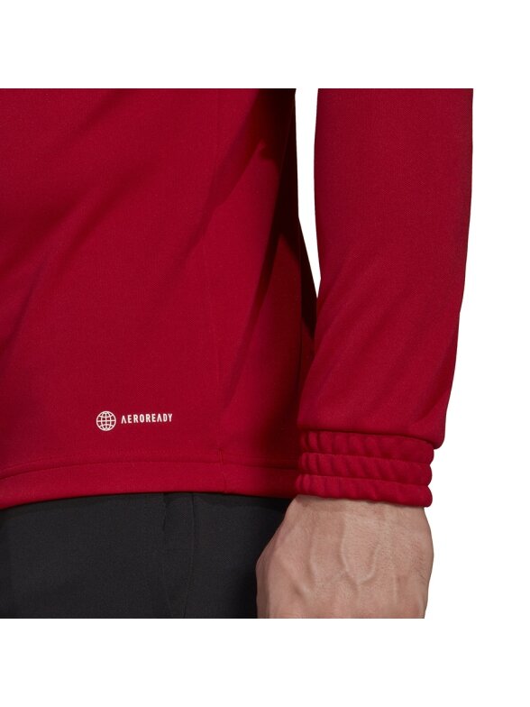 Vyriški džemperiai adidas Entrada 22 Training Top raudona H57556 5