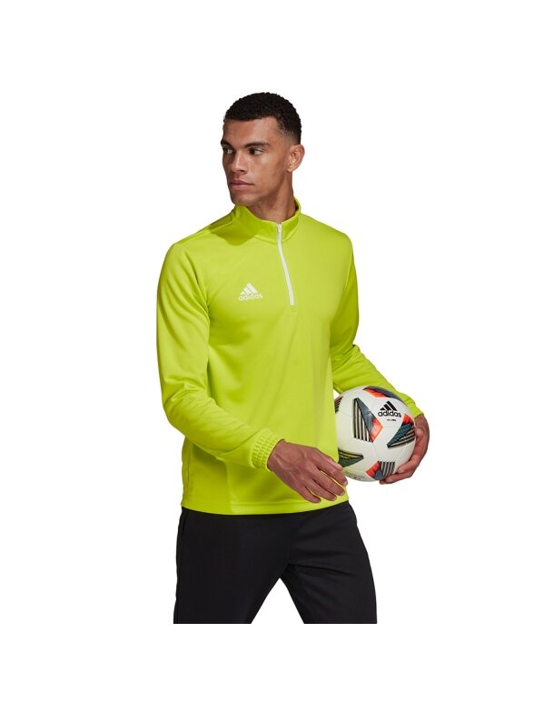 Vyriški džemperiai adidas Entrada 22 Training Top lime HC5057 3