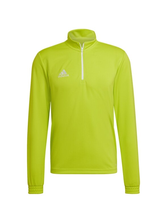 Vyriški džemperiai adidas Entrada 22 Training Top lime HC5057