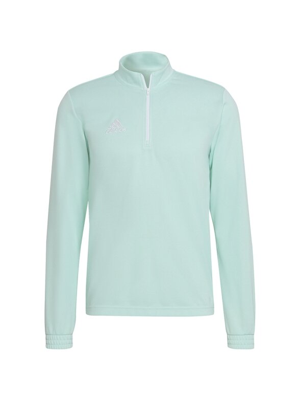 Vyriški džemperiai adidas Entrada 22 Training Top mint HC5050