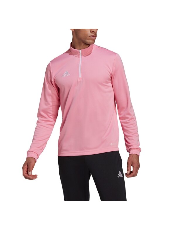 Vyriški džemperiai adidas Entrada 22 Training Top rožinė HC5048 2