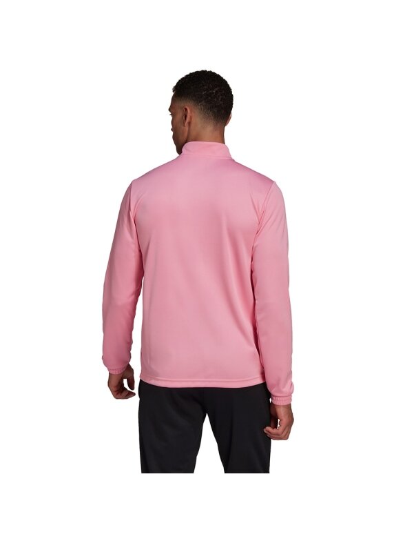 Vyriški džemperiai adidas Entrada 22 Training Top rožinė HC5048 4