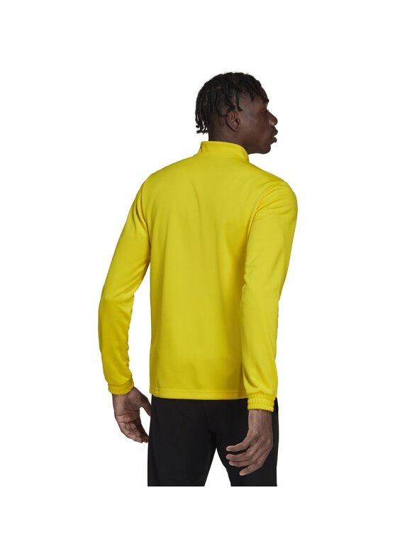 Vyriški džemperiai adidas Entrada 22 Training Top geltona HI2128 1