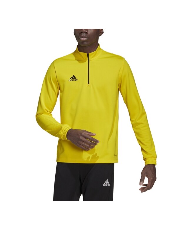 Vyriški džemperiai adidas Entrada 22 Training Top geltona HI2128 3