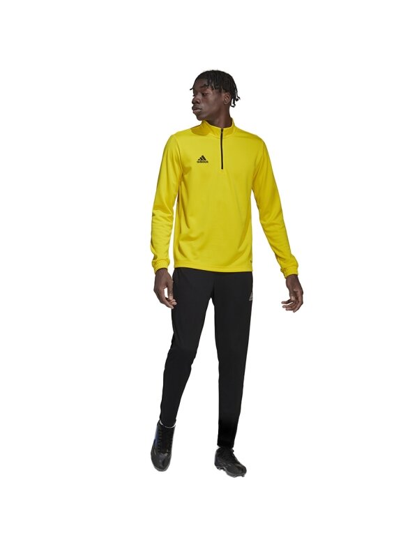 Vyriški džemperiai adidas Entrada 22 Training Top geltona HI2128 5