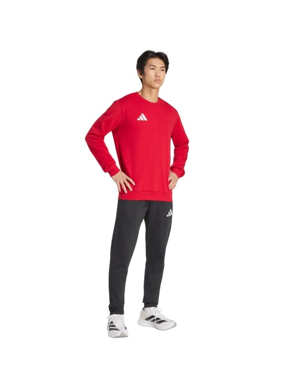 Adidas Entrada 26 Sweat Top vyrams raudona JZ6575 Adidas Entrada 26 Sweat Top vyrams raudona JZ6575