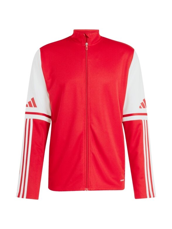adidas Squadra 25 Training vyriška džemperis raudona-balta JD2979 1