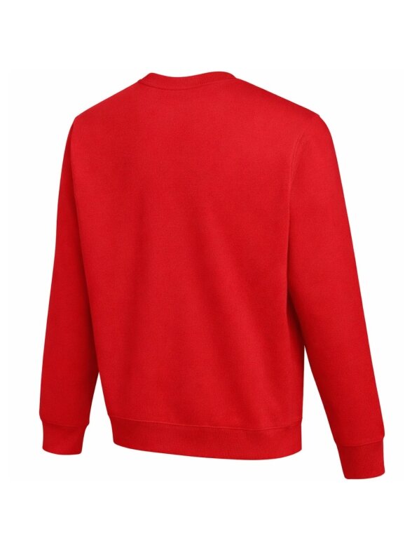 Nike Park 26 Fleece Crew vyrų džemperis raudona IO9039 657 1