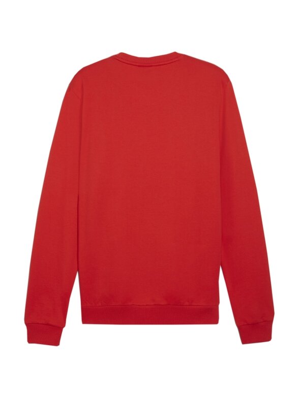 Puma Team Goal Casuals Crew Neck Sweat vyriškas džemperis raudonas 658592 01