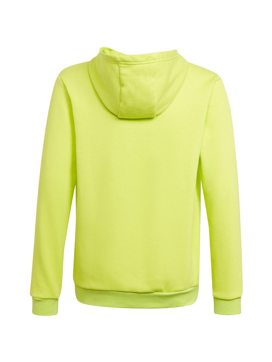 Adidas Entrada 22 Hoody vaikiški džemperiai, lime HC5069 1