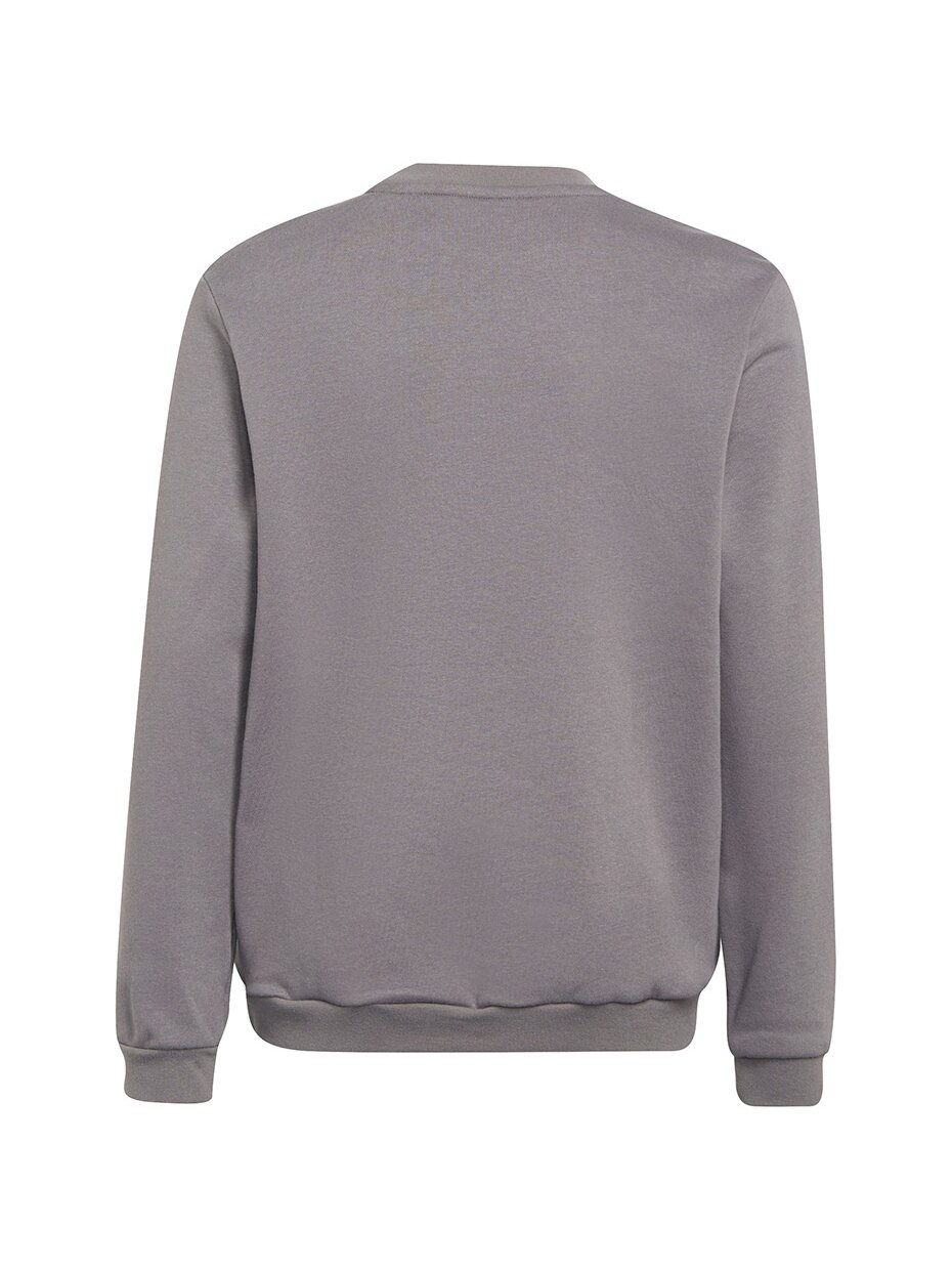 Adidas Entrada 22 Sweat Top vaikiški džemperiai, pilki H57477 1 Adidas Entrada 22 Sweat Top vaikiški džemperiai, pilki H57477 1