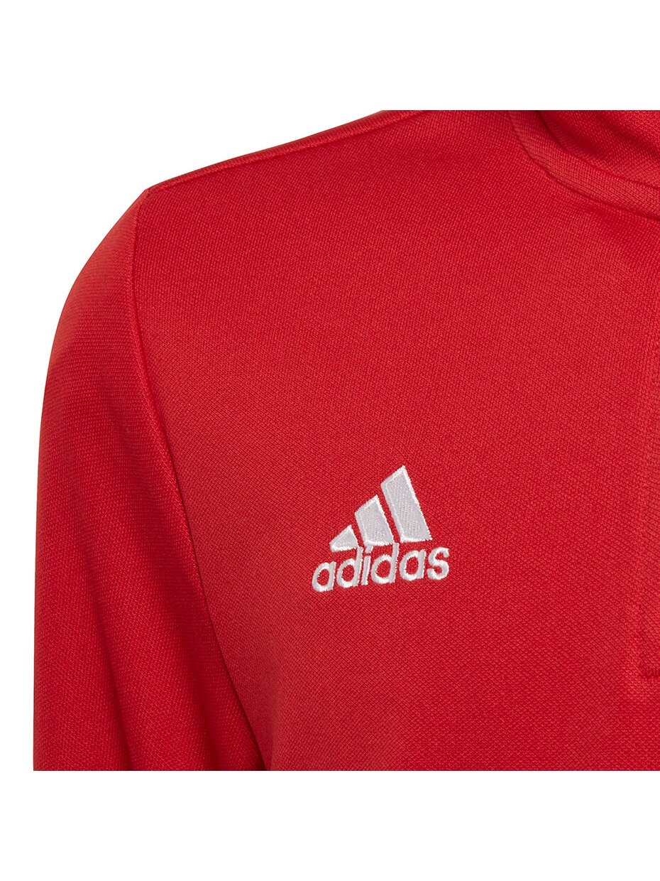 Adidas Entrada 22 Tr Top vaikiški džemperiai, raudoni H57550 3