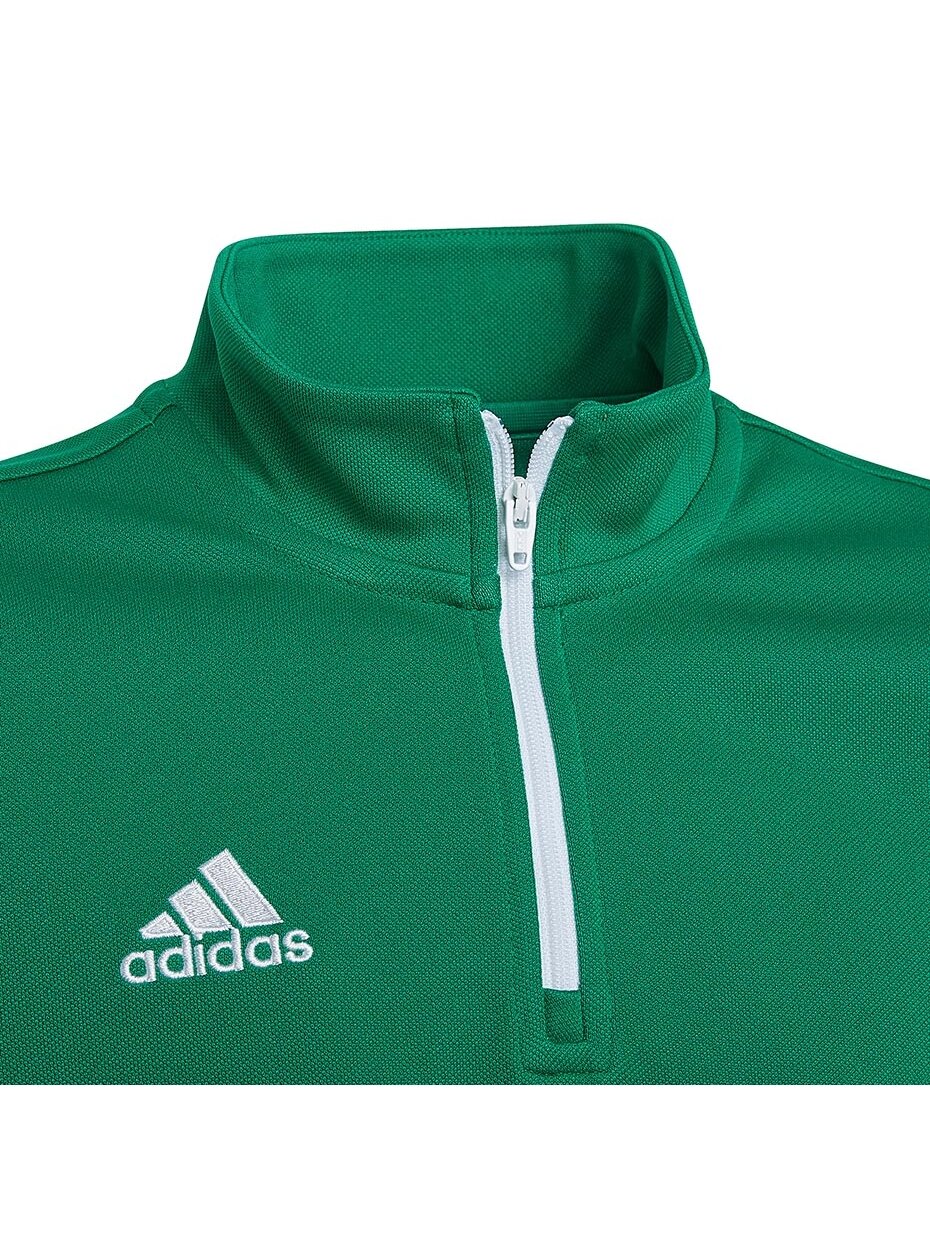 Adidas Entrada 22 Training Top vaikiški džemperiai, žalia HI2132 2