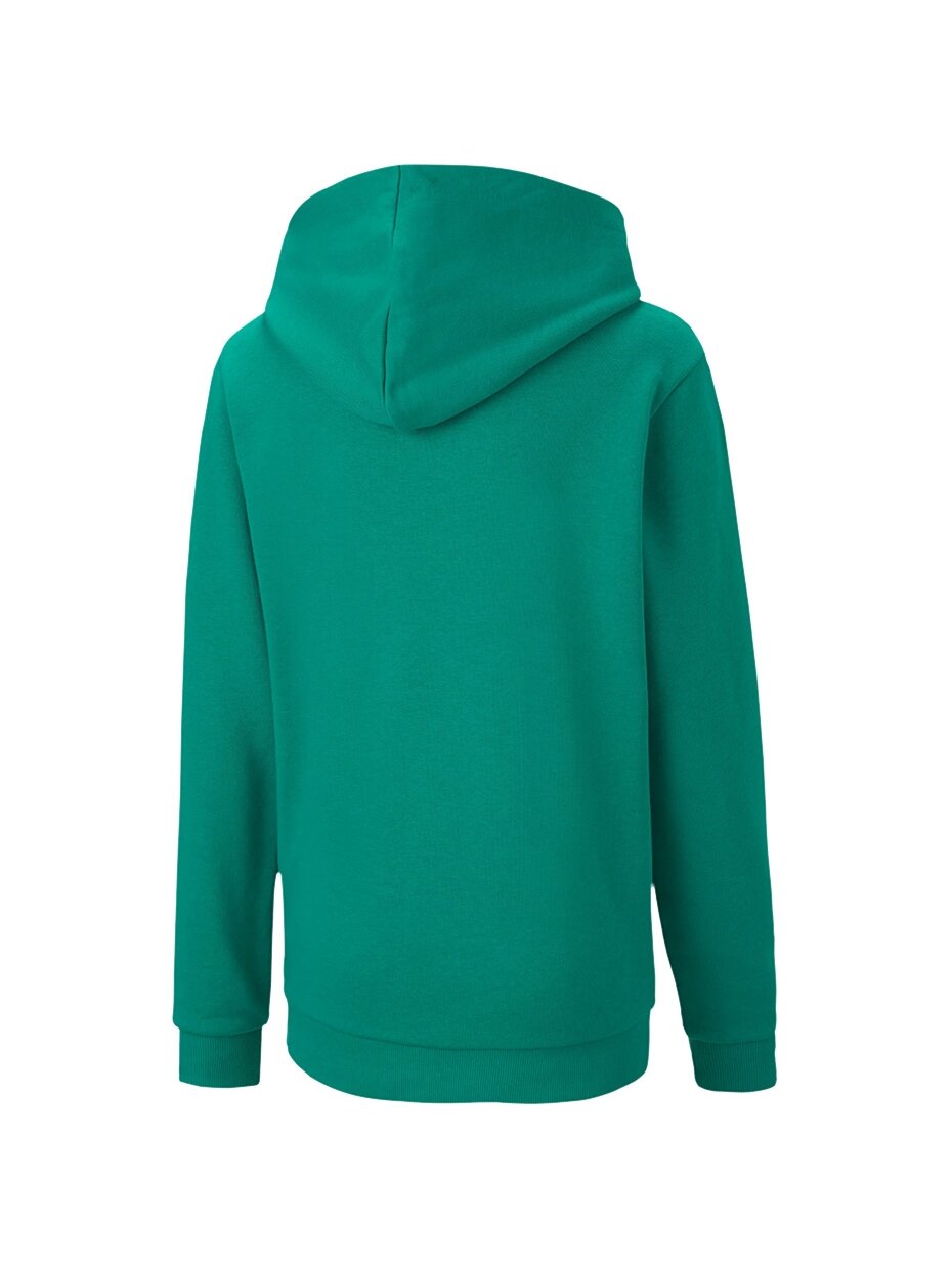 Puma teamGOAL 23 Casuals Hoody Jr vaikiškas džemperis žalias 656711 05 1 Puma teamGOAL 23 Casuals Hoody Jr vaikiškas džemperis žalias 656711 05 1