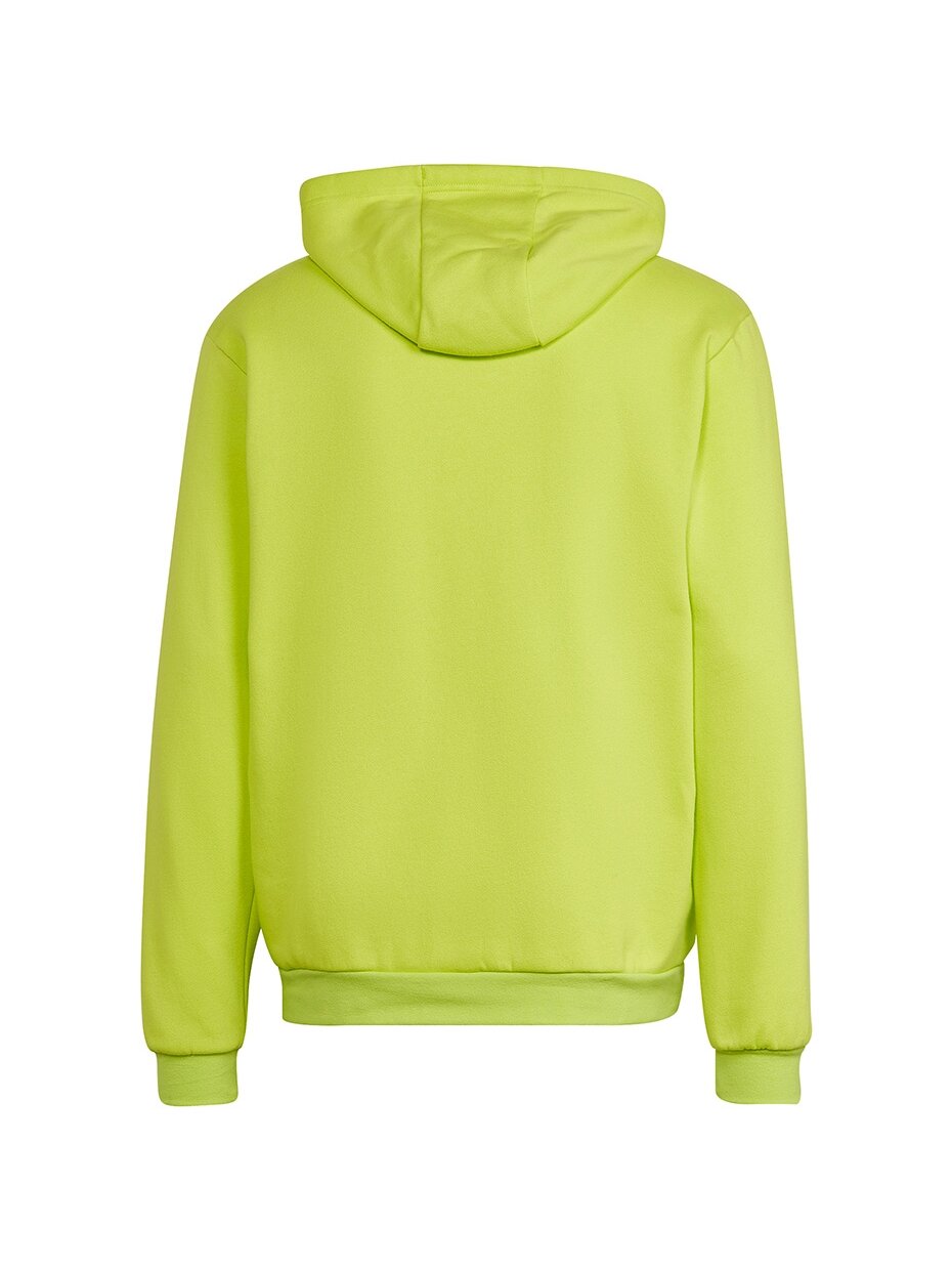 Vyriški džemperiai adidas Entrada 22 Hoody lime HC5083