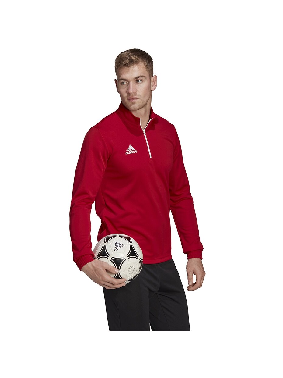 Vyriški džemperiai adidas Entrada 22 Training Top raudona H57556