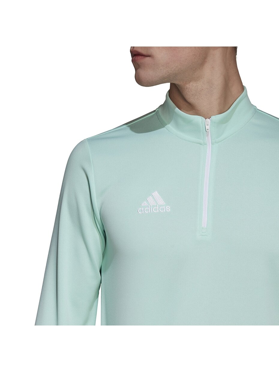 Vyriški džemperiai adidas Entrada 22 Training Top mint HC5050 4