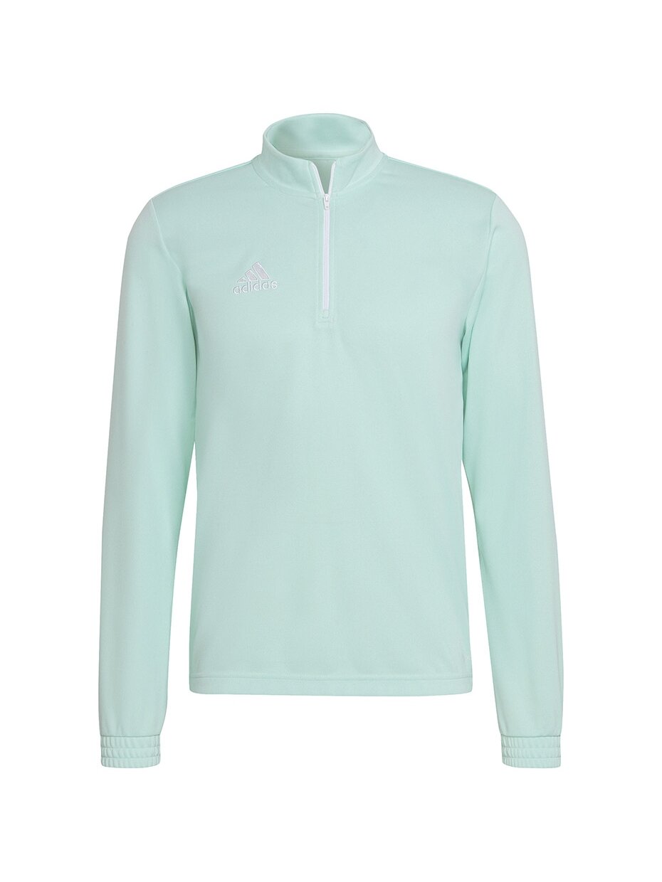 Vyriški džemperiai adidas Entrada 22 Training Top mint HC5050