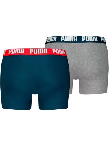 Puma Everyday Basic 2p vyriški šortai mėlyni, pilki 938320 05
