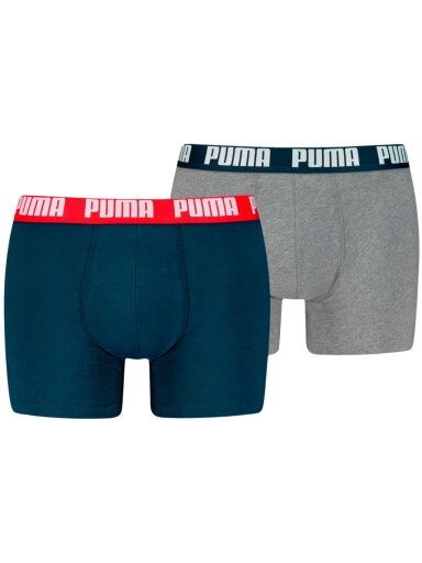 Puma Everyday Basic 2p vyriški šortai mėlyni, pilki 938320 05