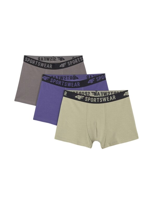 4F bokseriai vaikams M061 3 poros multicolor 4F bokseriai vaikams M061 3 poros multicolor