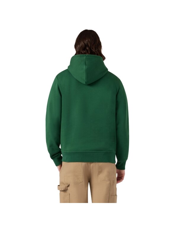 Champion vyriškas džemperis su gobtuvu Hooded Sweatshirt, žalias 221790 GS559 2