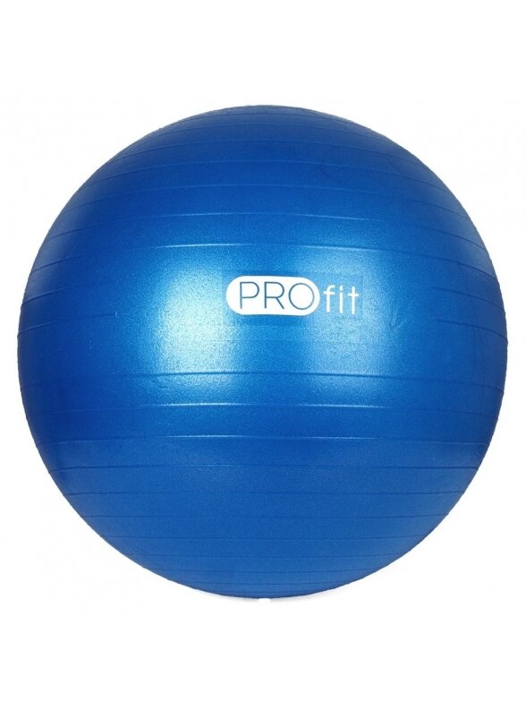 Gimnastikos kamuolys su pompa Profit 55 cm Gimnastikos kamuolys su pompa Profit 55 cm