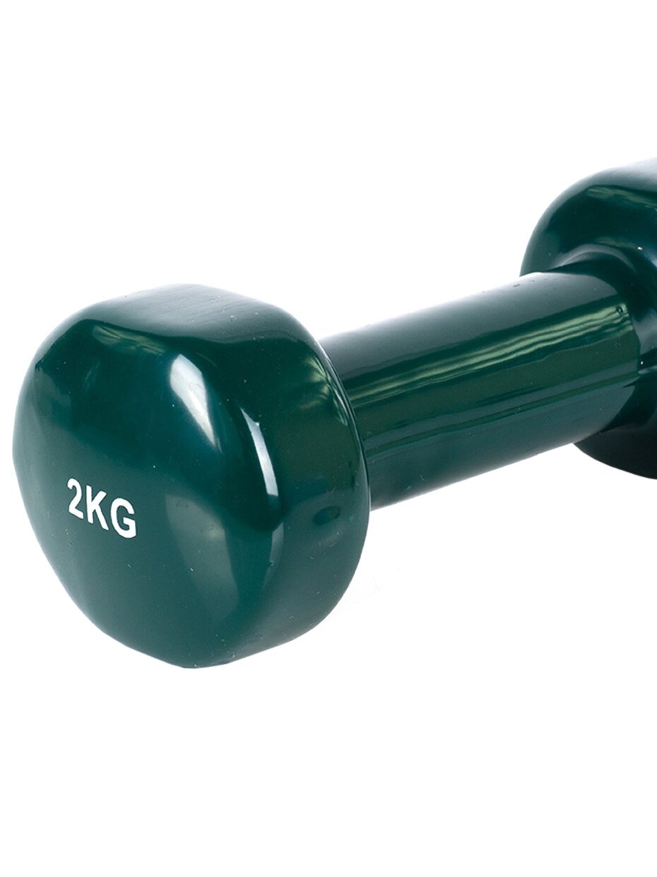 Vinilinis hantelis Profit 2 kg žalias DK 4102 2