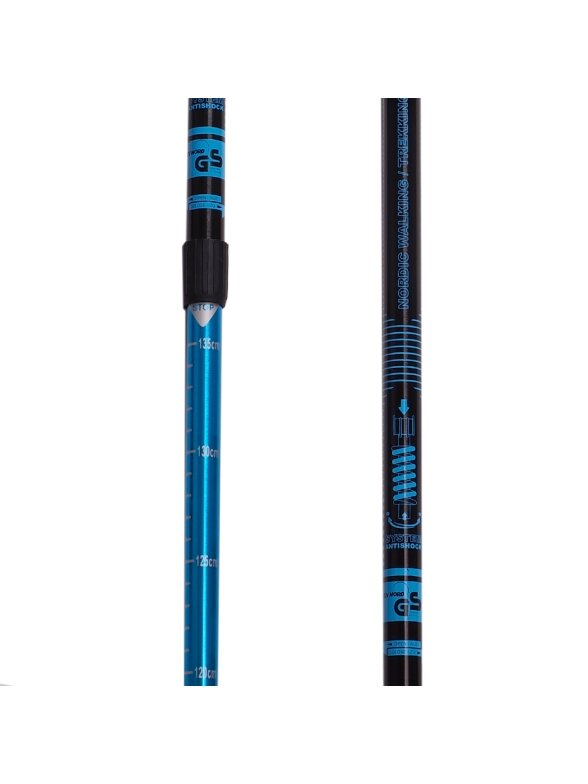 Nordic Walking Scout Bjorn lazdos, mėlynos, 3 vnt 3
