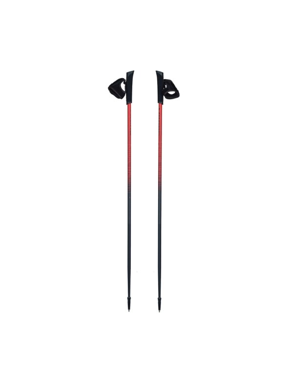 Šiaurietiško ėjimo lazdos Viking Pro-Trainer 110 cm 650-20-7879-34-110
