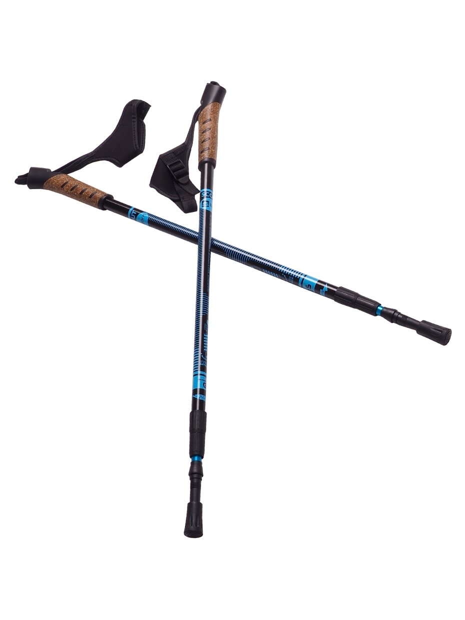 Nordic Walking Scout Bjorn lazdos, mėlynos, 3 vnt 4