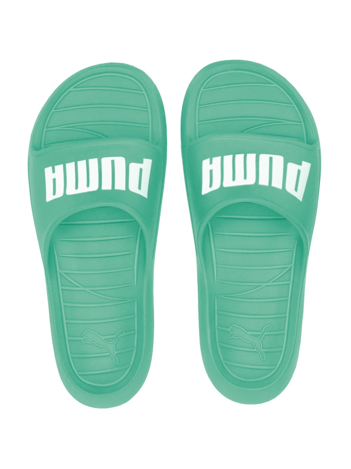 Puma Divecat v2 šlepetės žalios 374823 20 Puma Divecat v2 šlepetės žalios 374823 20