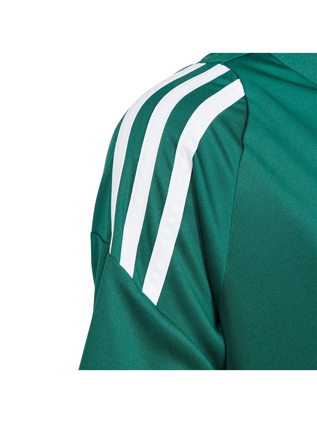 Adidas Tiro 24 Jersey vaikiški marškinėliai, žali IS1028 3