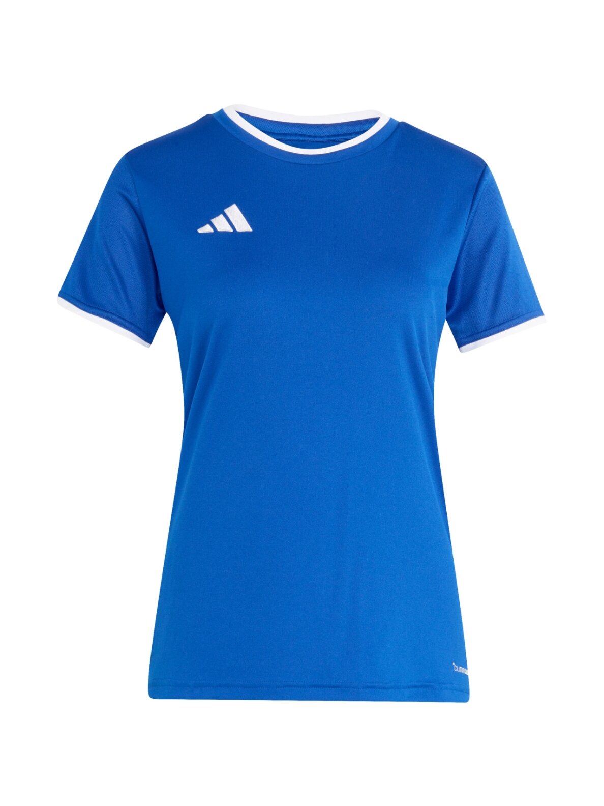 Adidas Entrada 26 Jersey moterims mėlyna JZ2495 1 Adidas Entrada 26 Jersey moterims mėlyna JZ2495 1