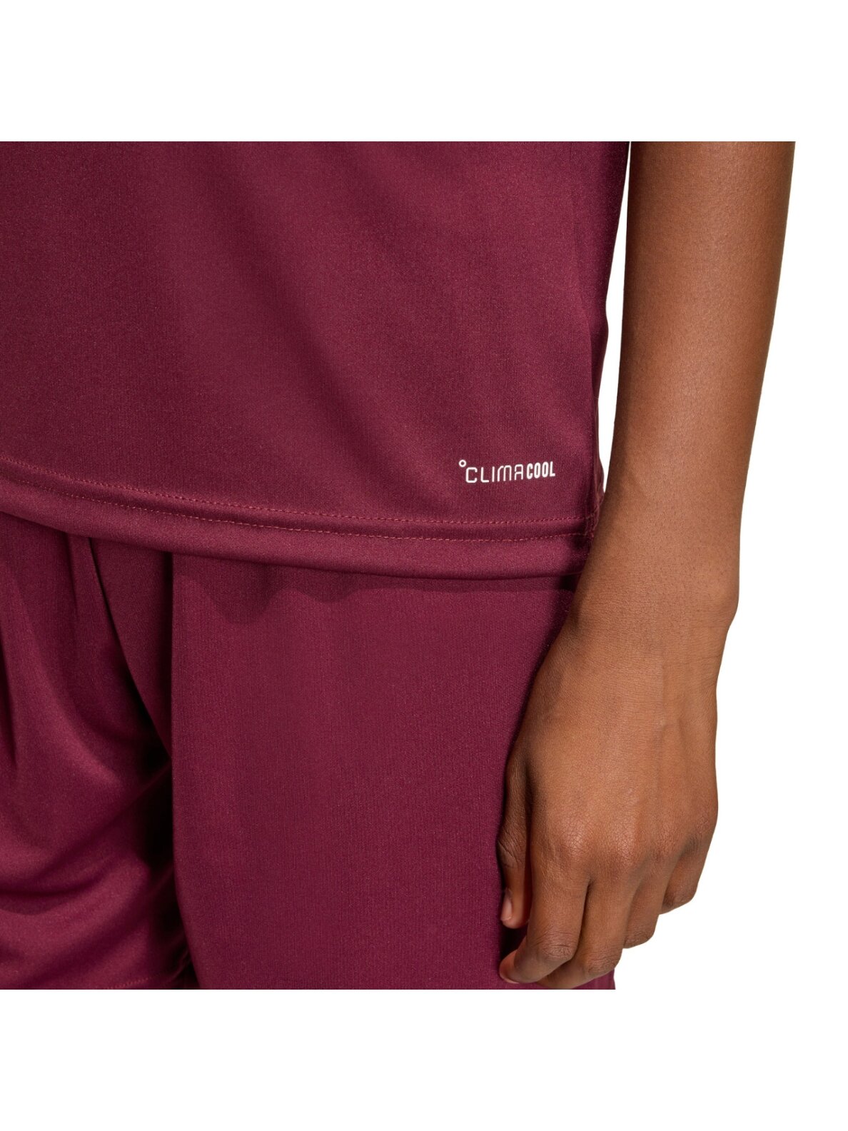 Adidas Entrada 26 Jersey marškinėliai vaikams bordo spalvos JZ2530 7