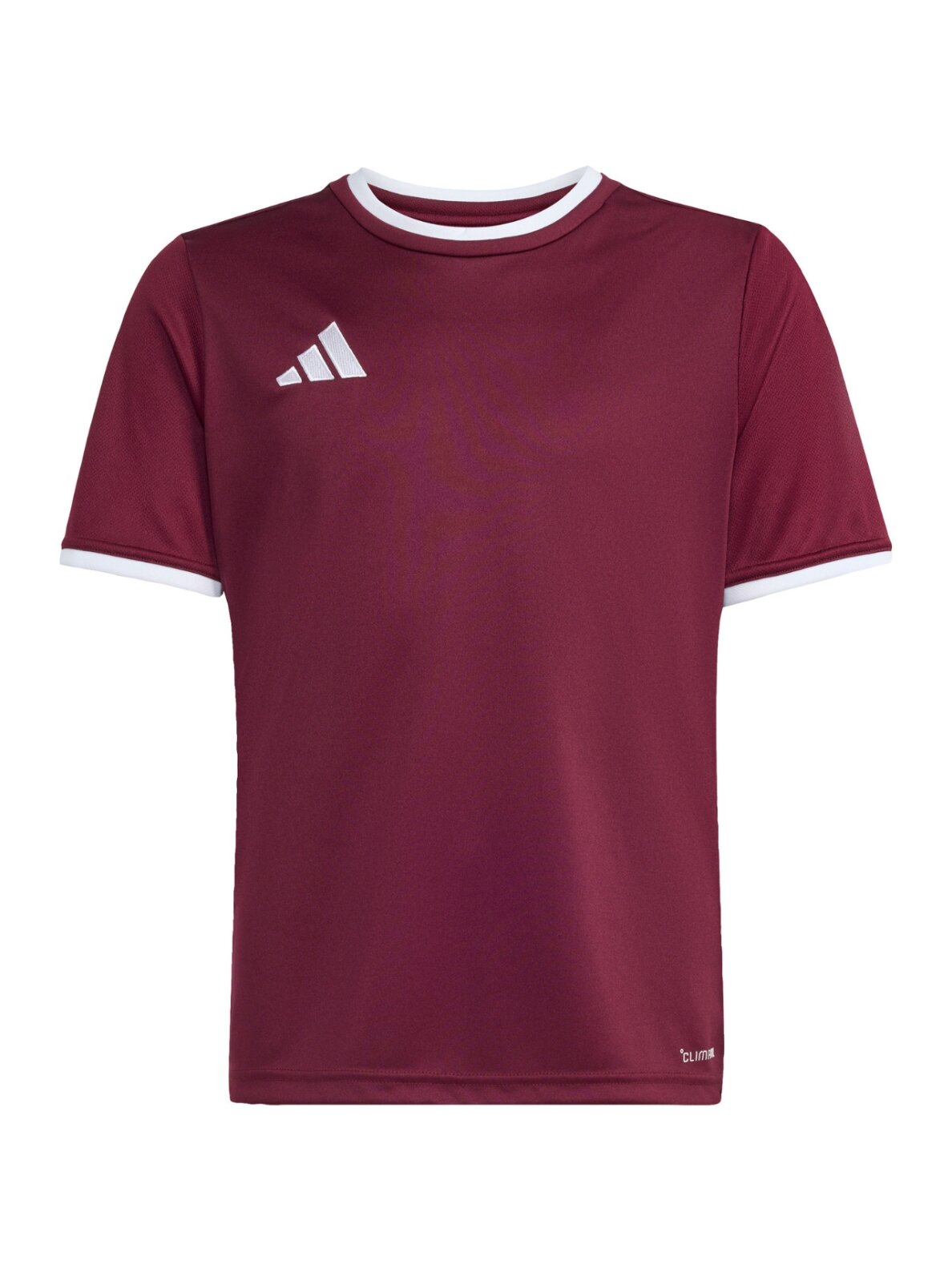 Adidas Entrada 26 Jersey marškinėliai vaikams bordo spalvos JZ2530 1 Adidas Entrada 26 Jersey marškinėliai vaikams bordo spalvos JZ2530 1
