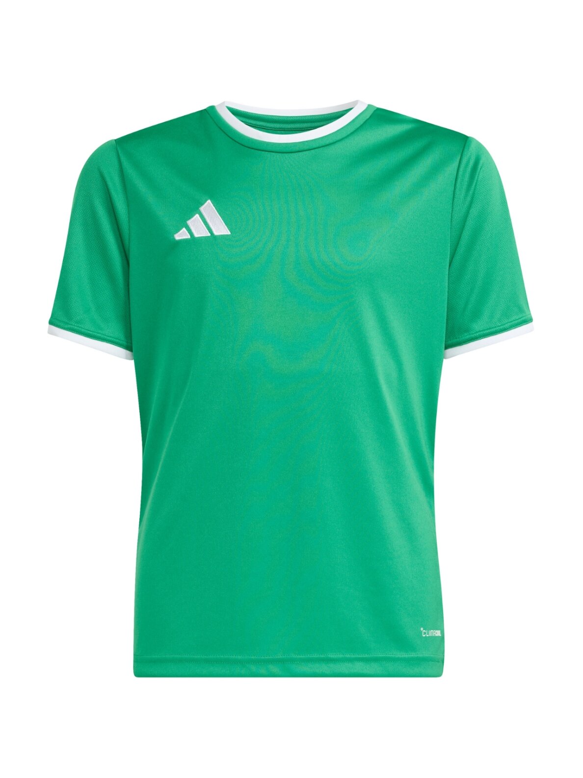 Adidas Entrada 26 Jersey vaikiški marškinėliai, žali JZ2528 1